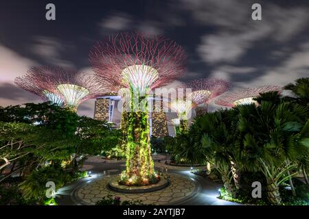 Supertrees in der Nacht, Marina Bay Sands Hotel im Hintergrund, Supertree Grove, Gardens by the Bay, Singapur Stockfoto