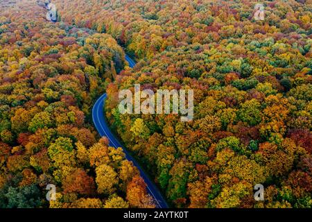 Blick auf den Wald und eine Serpentinenstraße im Herbst mit bunten Bäumen Stockfoto