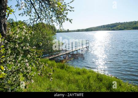 Frühlings-Panorama eines Waldseens vor blauem Himmel und fernen Bergen Stockfoto