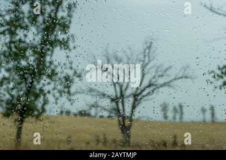 Fenster mit Wassertropfen und verschwommener Landschaft im Hintergrund mit Baumsilhouette und leerem Feld. Ländliche Herbstszene Stockfoto