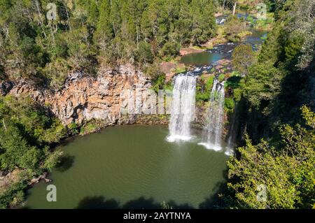 Spektakulärer Blick von oben auf den malerischen Wasserfall im Wald. Dangar Falls, Australien Stockfoto