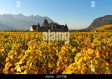 Weinmuseum Schloss Aigle, Chateau d'Aigle, umgeben von Weinbergen in Herbstfarben, Aigle, Kanton Waadt, Schweiz Stockfoto