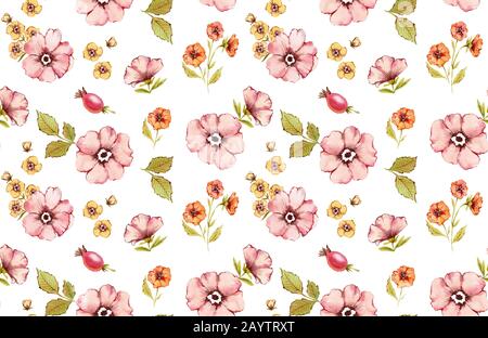 Nahtlose Blumenmuster in Wasserfarben. Herbstpflanzen. Rosafarbene Blumen: Rosafarbene Hüftfrüchte, Bräuchen, Blätter, isoliert auf weißem Grund. Handbemaltes botanisches Stockfoto
