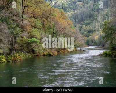 Rio Eume, parque Natural Fragas del Eume,? Provincia de La Coruña, Galicien, Spanien. Stockfoto