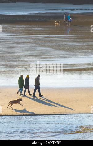 Hundegänger am Porth Beach in Newquay in Cornwall. Stockfoto