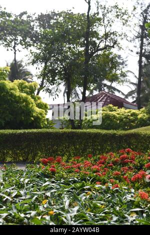 Premium Meerblick Cottage Zimmer im 5-Sterne Taj Fisherman's Cove Resort and Spa, Chennai, Indien Stockfoto