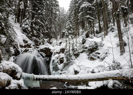 Bergbach Rissbach im Winter, Deutschland, Bayern, Oberbayern, Oberbayern Stockfoto