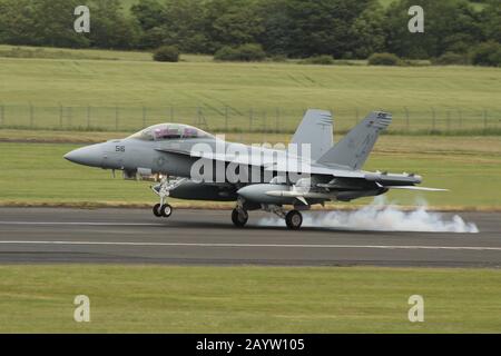 169136, eine Boeing EA-18G Growler, die von der United States Navy betrieben wird, auf dem Prestwick International Airport in Ayrshire. Stockfoto