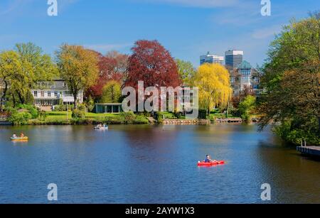 Kupferbuche (Fagus sylvatica var. purpurea, Fagus sylvatica 'Atropunicea', Fagus sylvatica Atropunicea), Teich Feenteich und Park Bäume im Frühjahr an der Alster, Deutschland, Uhlenhorst und Harvestehude, Hamburg Stockfoto