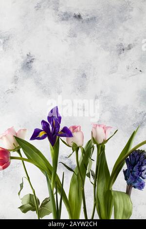 Beautiful Tulpe, Iris, Rosen und Hyazinthe auf blauem Hintergrund Kopierraum Stockfoto