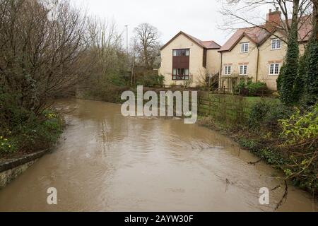 Der Dorset Stour River in Gillingham überschwemmt nach starken Regenfällen von Storm Dennis neben Häusern. Der Sturm kam am 15.02.2020 an und sorgte für WIdes Stockfoto