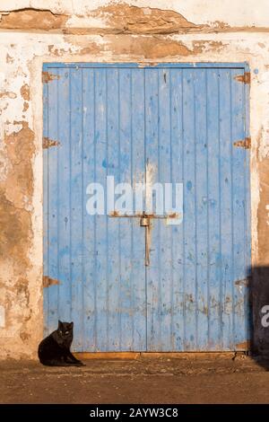 Schwarze Katze sitzt auf der Straße im Hafen, morgens Sonnenlicht. Blaue Holztür im Hintergrund. Hafen in Essaouira, Marokko. Stockfoto