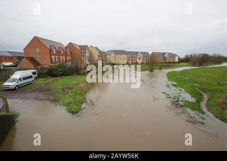 Der Dorset Stour River in Gillingham überschwemmt nach starken Regenfällen von Storm Dennis neben Häusern. Der Sturm kam am 15.02.2020 an und sorgte für WIdes Stockfoto