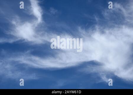 Blauer Himmel mit Zirruswolken an einem schönen und sonnigen Tag. Weiße und weiche Fiederwolken (Cirrocumulus) schließen sich an. Stockfoto