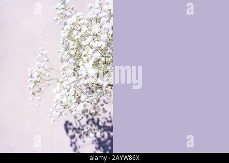 Wunderschöner Blumenstrauß mit weißen Blumen mit Schatten auf pastellgrauviolettem Hintergrund. Konzept für Hochzeitsfeier, Geburtstags-Feiertag-Grußkarte. Nahaufnahme, Draufsicht, flaches Layout, Kopierbereich. Weicher Fokus. Stockfoto