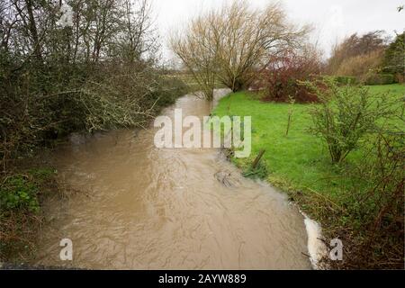 Der Dorset Stour River in Gillingham überschwemmt nach starken Regenfällen von Storm Dennis neben Gärten. Der Sturm kam am 15.02.2020 an und sorgte für weite Schäden Stockfoto