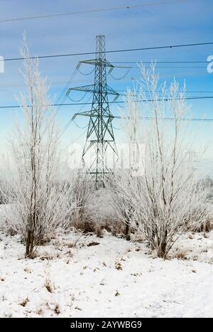 Blick um einen sehr kalten und gefrorenen Cowpen Bewley Woodland Park, Billingham, Teesside, County Durham, England, VEREINIGTES KÖNIGREICH Stockfoto