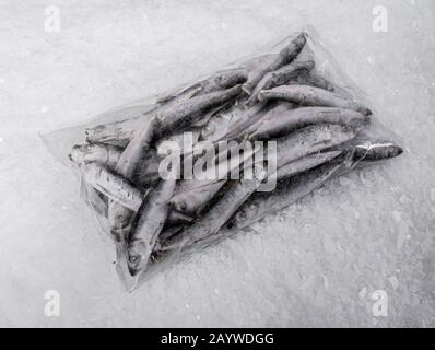 Nahaufnahme einer Plastiktüte mit kleinen Meeresfischen. Gefrorene Sardinen. Eisstücke. Fischmarkt. Stockfoto