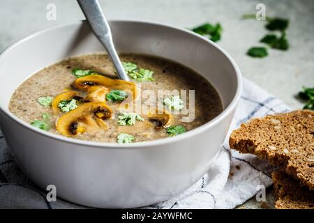 Pilzsuppe püree mit Cilantro. Vegetarisches Speisekonzept. Stockfoto