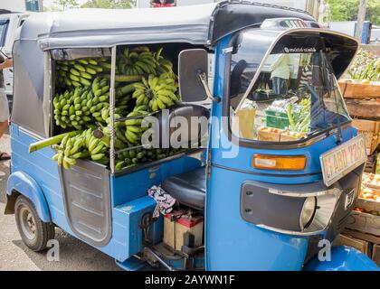 Dambulla, Sri Lanka: 18/03/2019: Größter Obst- und Gemüsemarkt in Sri Lanka. LKW wird mit Bananen in Säcken beladen. Stockfoto