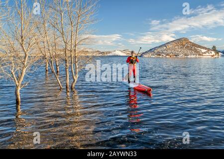 Senior-Paddler in einem Trockenanzug und einer Schwimmweste paddeln im Winter auf einem See in Colorado - Horset ein langes, unbegrenztes Stehpaddleboard Stockfoto