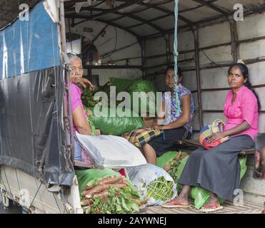 Dambulla, Sri Lanka: 18.03.2019: Frauen auf dem Gemüsemarkt im Großhandel sitzen im Heck eines LKW mit Säcken pflanzlicher Produkte. Stockfoto