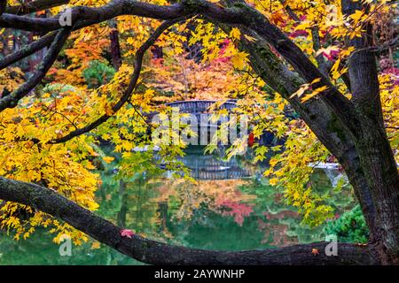 Blick durch bunte Herbstblätter im japanischen Garten Nishinomiya in Spokane Washington. Stockfoto