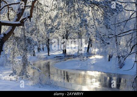 Frostige Bäume in der Hintergrundbeleuchtung entlang eines kleinen Flusses, Vingakersan, Sormland, Schweden Stockfoto