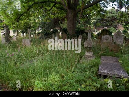 Brompton Cemetery, Fulham Road, London, England, Lage der Gräber von Emmeline Pankhurst, Fanny Brawne, Richard Tauber, John Wisden und Brian Glover Stockfoto