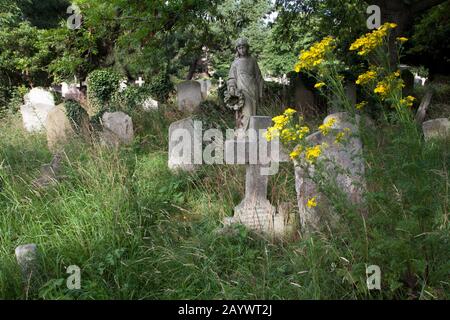 Brompton Cemetery, Fulham Road, London, England, Lage der Gräber von Emmeline Pankhurst, Fanny Brawne, Richard Tauber, John Wisden und Brian Glover Stockfoto