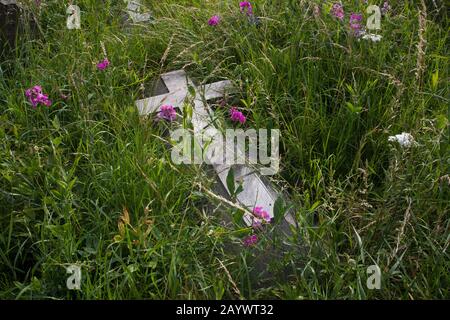 Brompton Cemetery, Fulham Road, London, England, Lage der Gräber von Emmeline Pankhurst, Fanny Brawne, Richard Tauber, John Wisden und Brian Glover Stockfoto