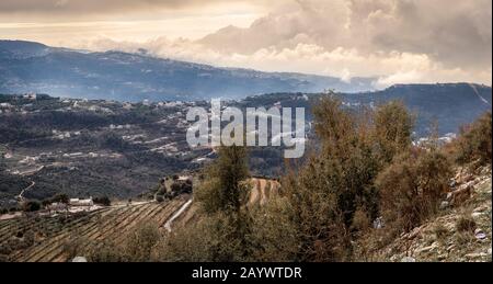 Die Berge des Libanon waren einst von dicken Zedernwäldern beschattet