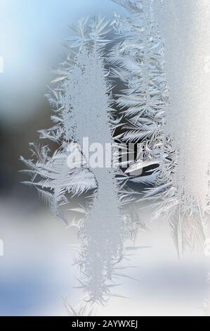 Eiskristalle am Fenster-Glas Stockfoto