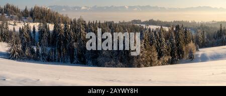 Eine schöne Winterlandschaft mit verschneiten Bergen im Hintergrund im warmen Licht der untergehenden Sonne Stockfoto