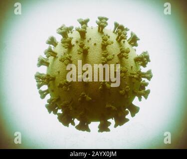 COVID-19, Coronavirus, eine Gruppe von Viren, die Krankheiten bei Säugetieren und Vögeln verursachen. Beim Menschen verursacht das Virus Atemwegsinfektionen. Stockfoto