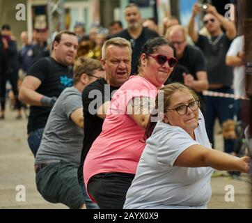 Wolfsburg, 1. September 2019: Meisterschaft im Bus an einem dicken Seil mit einem Team von drei Männern und zwei jungen starken Frauen mit Brille ziehen Stockfoto