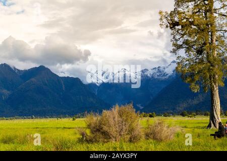 Blick auf Mount Cook und Mount Tasman auf die Umgebung von Lake Matheson, Neuseeland Stockfoto