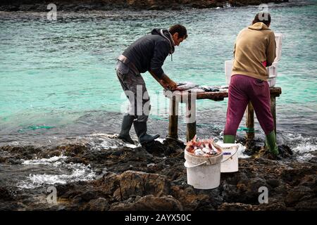 Zwei Fischer angeln auf einem Holztisch neben dem türkisfarbenen Meer auf der Isla de Lobos, Fuerteventura. Stockfoto