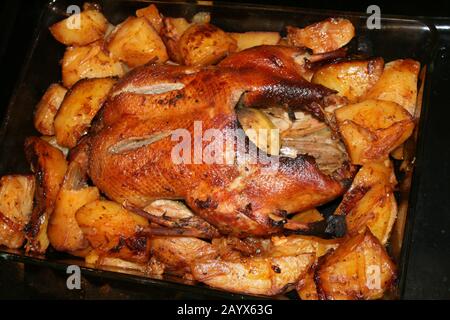 Ente in Honig und gefüllt mit Äpfeln gebacken. Und Kartoffeln Stockfoto