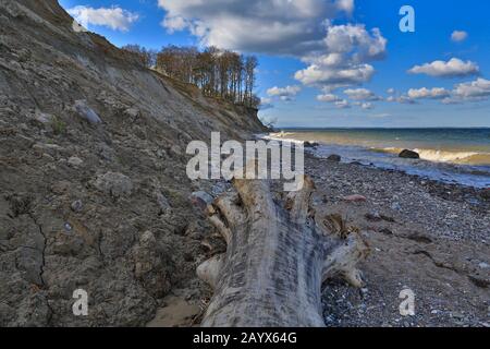 Naturstrand und Steilufer zwischen Travemünde und Niendorf. Stockfoto