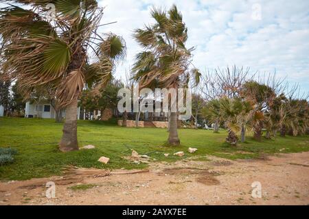 Februar 2020, Protaras, Famagusta, Zypern: Winter in Cyprus.in das Bild: (Bild: © Hubert Mathis/ZUMA Draht) Stockfoto