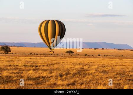 Morgenballon Safari über die Serengeti in Tansania Stockfoto