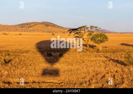 Morgenballon Safari über die Serengeti in Tansania Stockfoto