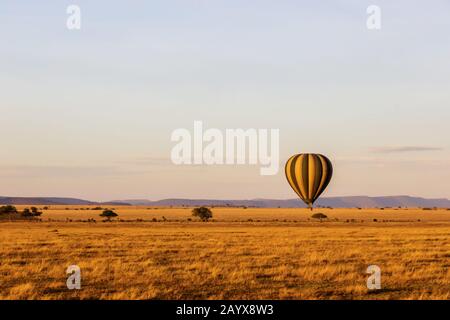 Morgenballon Safari über die Serengeti in Tansania Stockfoto