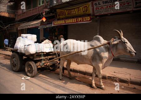 Händler machen sich auf den Weg durch die überfüllten Straßen des Marktes in Dehli, Indien. Stockfoto