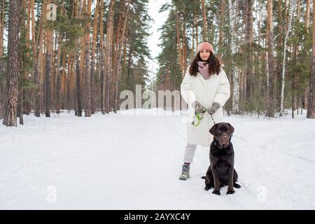 Horizontaler Schuss von stilvoller junger Frau im warmen Winter-Outfit auf der städtischen Waldstraße mit Schokoladenlabrador Retriever Stockfoto