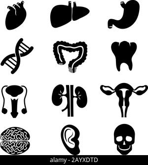 Menschliche Organe Vektor schwarze Symbole gesetzt. Hirnorgan Magenniere des Menschen- und Gesundheitsorgans und Herzdarstellung Stock Vektor