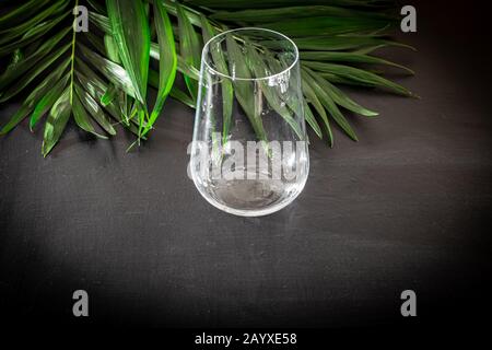 Klarglas für alkoholfreie Getränke. Palmenzweige hinzugefügt. Schwarzer Hintergrund. Kopierbereich Stockfoto