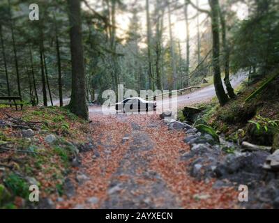 Vogesen, Frankreich: In der Herbstzeit steht ein Oldtimer (Mercedes 190) in einer Kurve Stockfoto
