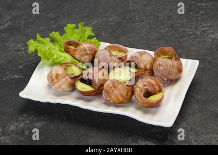 Französische Küche - Escargot mit Butter Sauce Stockfoto